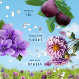  Viên xả quần áo Downy Boutique Botanicals Violeta Beads Scent Boosters 21.1Oz 598g (Chai) 
