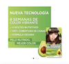  Thuốc nhuộm tóc Garnier Nutrisse 45 Tamarindo Mascarilla Nutricolor Permanente 