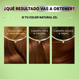  Thuốc nhuộm tóc Garnier Nutrisse 677 Chocolate Silvia Mascarilla Nutricolor Permanente 