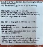  NK - Nước rửa tay dạng bọt BBW Gentle & Clean Foaming Hand Soap Snowy Peachberry 8.75Oz 259Ml 