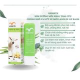  Son dưỡng cừu Rebirth Vanilla Lip Balm 3.7g 