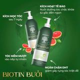  NK - Set gội xả dưỡng ẩm, phục hồi tóc Voudioty GrapeFruit 500ml 