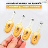  NK - Tinh chất nghệ Nano Curcumin 365 Premium 32 Tép x 3g 
