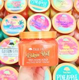  NK - Tẩy tế bào chết cơ thể Tree Hut Bikini Reef Shea Sugar Scrub 18Oz 510g 