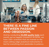  Viên uống thải độc gan Now Foods Double Strength Silymarin Milk Thistle Extract 300mg 100 viên 