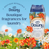  Viên xả quần áo Downy Boutique Botanicals Citrea Beads Scent Boosters 21.1Oz 598g (Chai) 