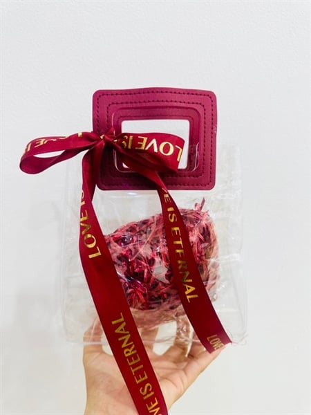  Túi xách nhựa trong quai đỏ vuông size 18x10x20 