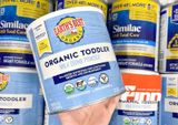  (SALE-SLL) Sữa Earth's Best Organic Milk Drink Powder Toddler Formula 21Oz 595g 