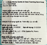  NK - Nước rửa tay dạng bọt BBW Gentle & Clean Foaming Hand Soap White tea & Sage 32Oz 946ml 