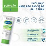  NK - Kem dưỡng ẩm cho da khô Cetaphil Moisturising Cream 50g 