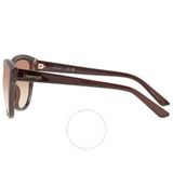  Mắt kính Calvin Klein Brown Gradient Cat Eye Ladies Sunglasses CK19536S 210 55 