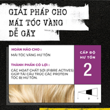  Cặp Dầu Gội Xả TIGI Bed Head Dumb Blonde 750ml x2 – Phục Hồi Tóc Tẩy, Tóc Nhuộm, Giữ Màu, Giảm Khô Xơ 