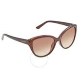  Mắt kính Calvin Klein Brown Gradient Cat Eye Ladies Sunglasses CK19536S 210 55 
