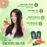  NK - Set gội xả dưỡng ẩm, phục hồi tóc Voudioty GrapeFruit 500ml 