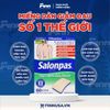  Miếng dán hỗ trợ giảm đau Salonpas 60 miếng 