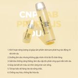  NK - Set Nước Thần Keo Ong Phục Hồi Da CNP Laboratory Treatment Ampule Essence 150ml + 100ml 