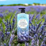  NK - Sữa tắm dưỡng ẩm, trắng da hương nước hoa On The Body Perfume Citrus Lavender Body Wash Lavender 1100ml 