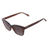  Kính Fossil Brown Cat Eye Ladies Sunglasses FOS 2126/G/S 0086 HA 