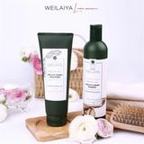  NK - Dầu gội chiết xuất gừng Weilaiya Ginger Shampoo 400ml 