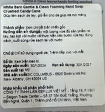  NK - Nước rửa tay dạng bọt BBW Gentle & Clean Foaming Hand Soap Crushed Candy Cane 8.75Oz 259ml 