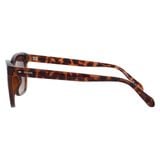  Kính Fossil Brown Cat Eye Ladies Sunglasses FOS 2126/G/S 0086 HA 