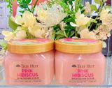  NK - Tẩy tế bào chết cơ thể Tree Hut Pink Hibicus Shea Sugar Scrub 18Oz 510g 