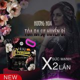  NK - Nước giặt Nuki Premium bản đặc biệt BlackPink Hương hoa Ai Cập 3.6kg 