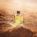  Nước hoa Hermes Terre Dhermes EDT Spray 3.3Oz 100ml 