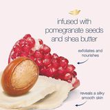  Tẩy tế bào chết Dove Pomegranate & Shea Butter Body Scrub Exfoliates and Deeply Nourishes 15Oz 425g 