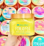  NK - Tẩy tế bào chết cơ thể Tree Hut Pineapple Shea Sugar Body Scrub 18Oz 510g 