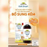  NK - Thực phẩm bổ sung Kẽm cho bé Nature's Way Kids Smart Liquid ZinC 100ml 