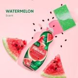  Nước rửa chén Palmolive Dishwashing Liquid Watermelon Scent 20Oz 591ml 