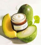  NK - Kem dưỡng Cocoon dạng thạch bí đao giảm dầu và mụn 30ml 