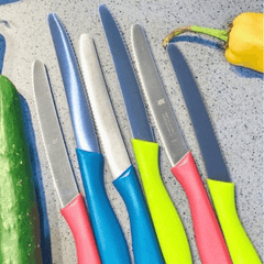 Set 6 dao cắt tỉa WMF Classic