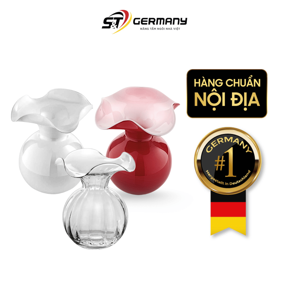 Lọ hoa IVV Primula nhiều màu sắc, kích cỡ