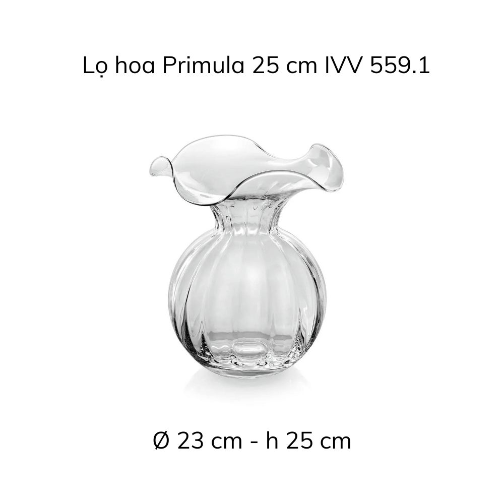 Lọ hoa IVV Primula nhiều màu sắc, kích cỡ