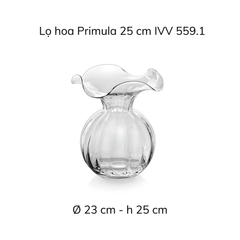 Lọ hoa IVV Primula nhiều màu sắc, kích cỡ