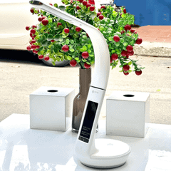 Đèn học chống cận OTTLITE U8Q nhiều màu