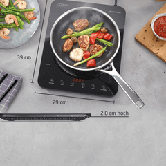 Bếp từ đơn CASO ProSlim 2000