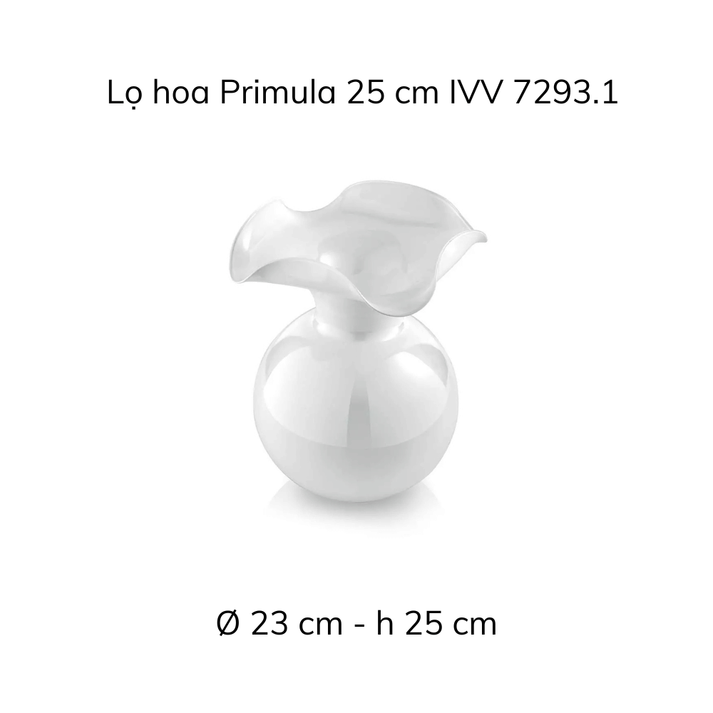 Lọ hoa IVV Primula nhiều màu sắc, kích cỡ