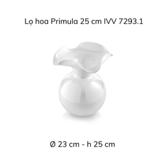 Lọ hoa IVV Primula nhiều màu sắc, kích cỡ