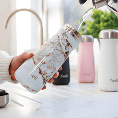 Bình cách nhiệt S'well bằng thép không gỉ, dòng du lịch, 470ml