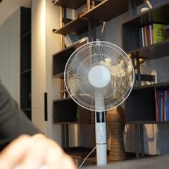 Quạt cây Trotec TVE26S màu trắng