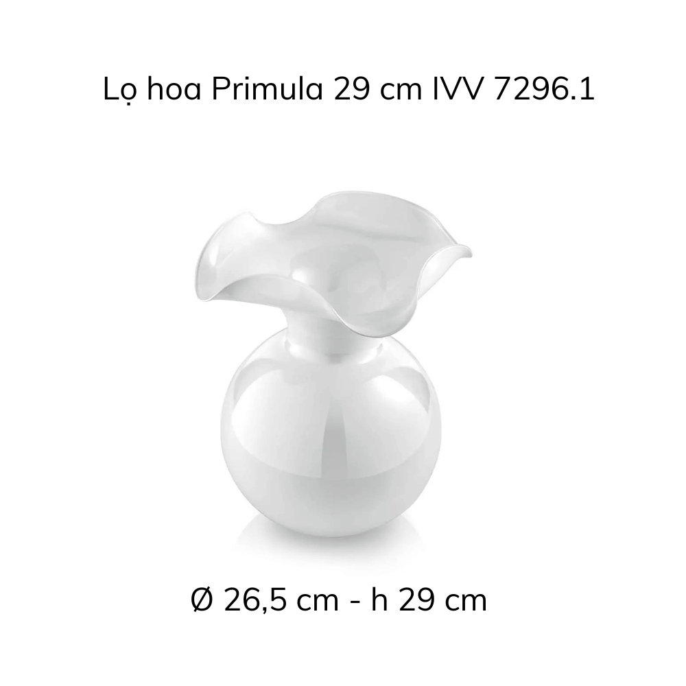 Lọ hoa IVV Primula nhiều màu sắc, kích cỡ