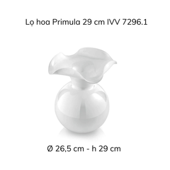 Lọ hoa IVV Primula nhiều màu sắc, kích cỡ