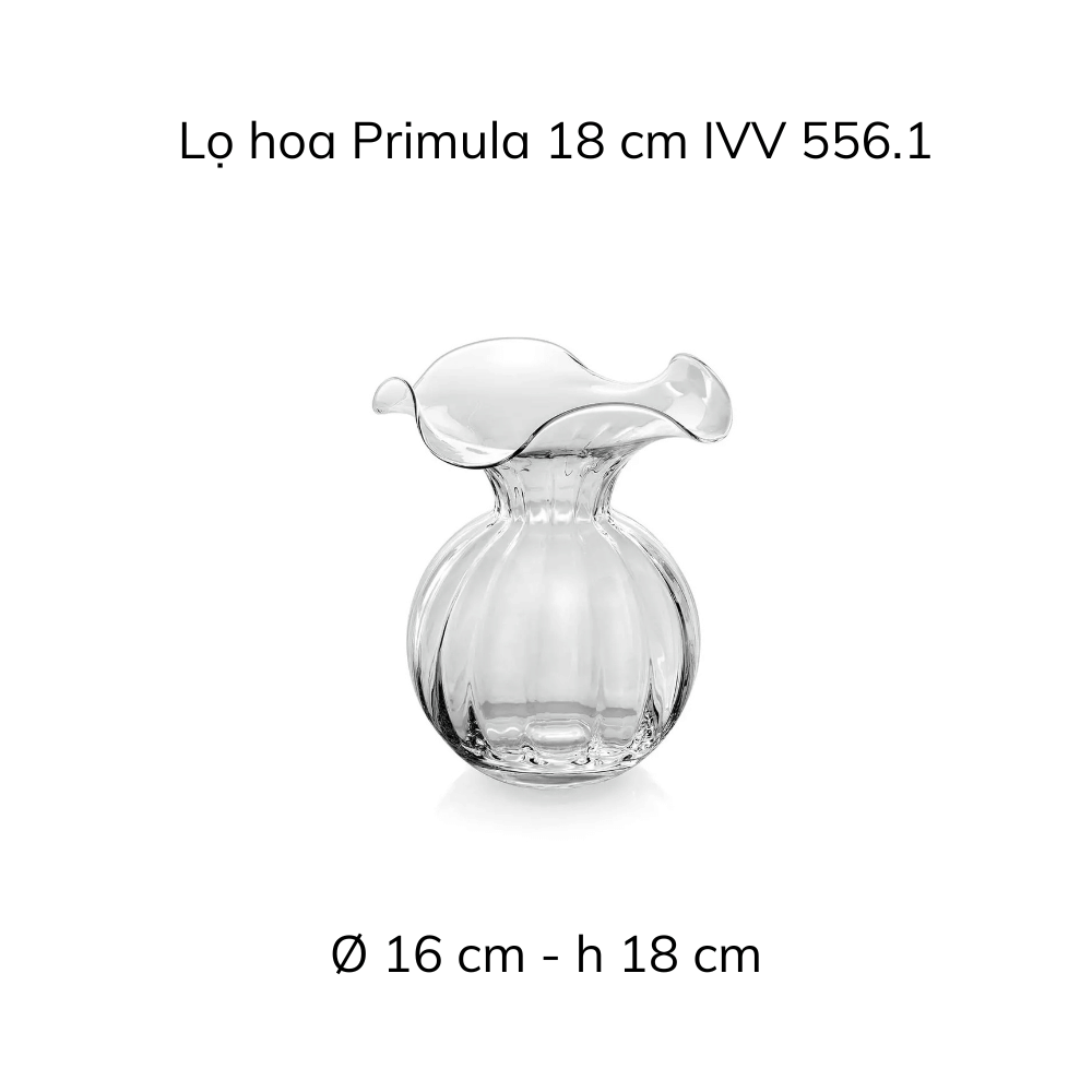Lọ hoa IVV Primula nhiều màu sắc, kích cỡ