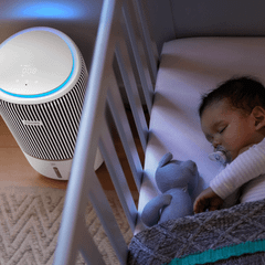 Máy lọc không khí và bù ẩm Philips AC3420/10