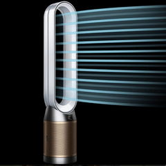 Quạt không cánh kèm lọc không khí DYSON Purifier Cool PC2 TP12