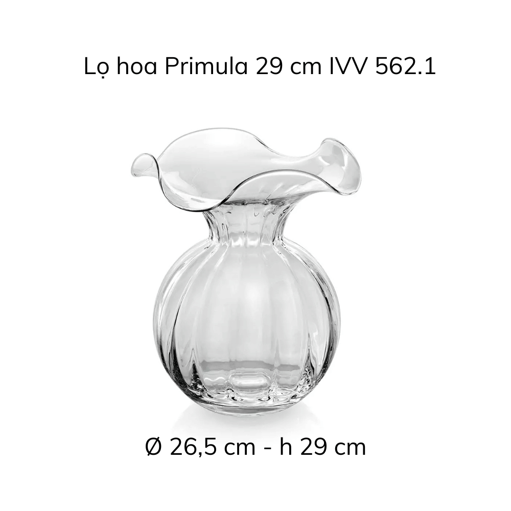 Lọ hoa IVV Primula nhiều màu sắc, kích cỡ