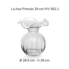 Lọ hoa IVV Primula nhiều màu sắc, kích cỡ